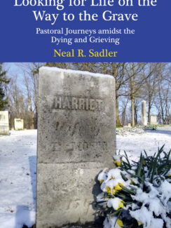 Looking for Life on the Way to the Grave : Pastoral Journeys amidst the Dying and Grieving